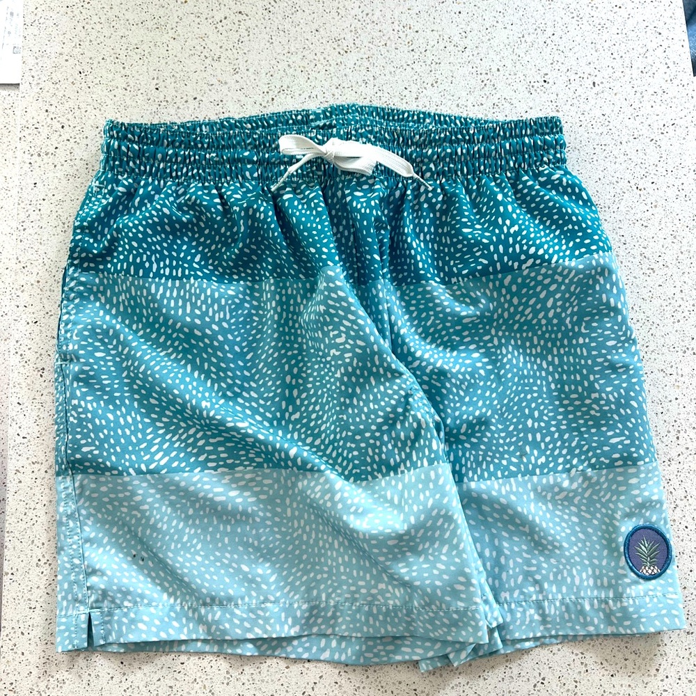 Chubbies Swim shorts size Large, worn twice
